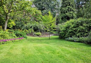 Optimiser l'expérience du jardin à Saint-Sylvestre-Cappel